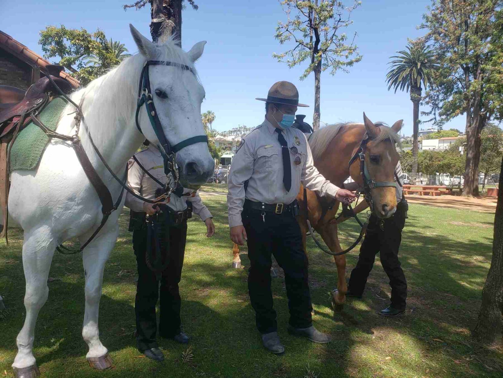Park ranger with horses at Echo Park Lake